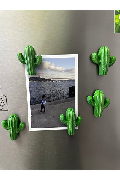 evdeki atölyem 5’li kaktüs model dolap süsü magnet