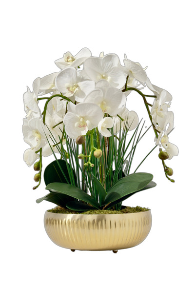 Lara Decor Gold Saksılı Beyaz Orkide