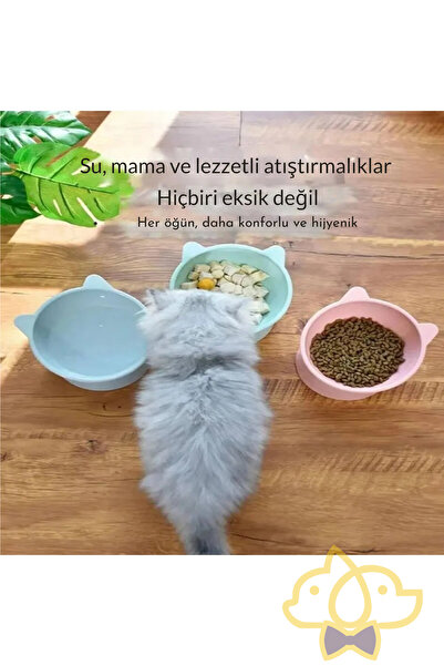 PapyonPet 2 Adet Eğimli Mama Ve Su Kabı Boyun Koruyucu Kedi Köpek Mama Kabı Evcil Hayvan Mama Kasesi Mama Kabı