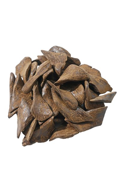 SERAT ALTEEB B chips and a quarter cup