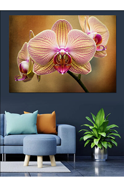 KanvasSepeti Розова орхидея Цветя Декоративна маслена живопис Текстурирана ви...
