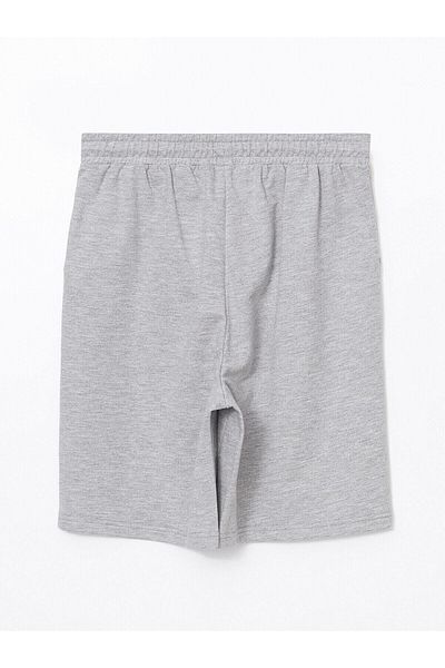 LC Waikiki Lcwaikiki Classic Women's Shorts with Elastic Waist