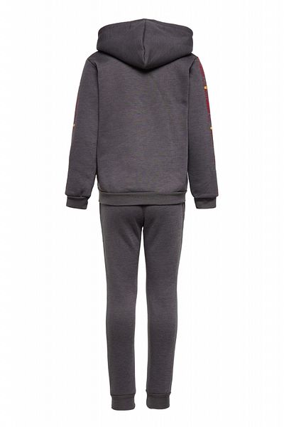 Harry Potter Harry Potter boys' tracksuit, model SHU1289