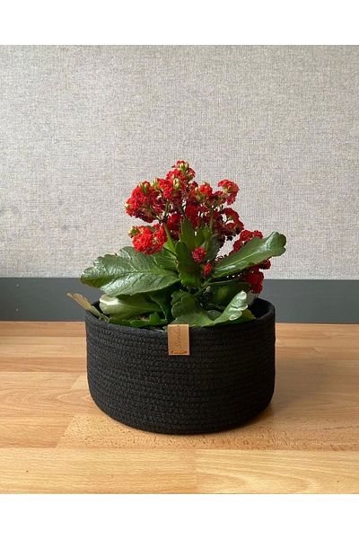 Sevdam Sepet Small Flower Pot Holder - Flower Patterned Flower Pot Holder and Flower Pot Basket