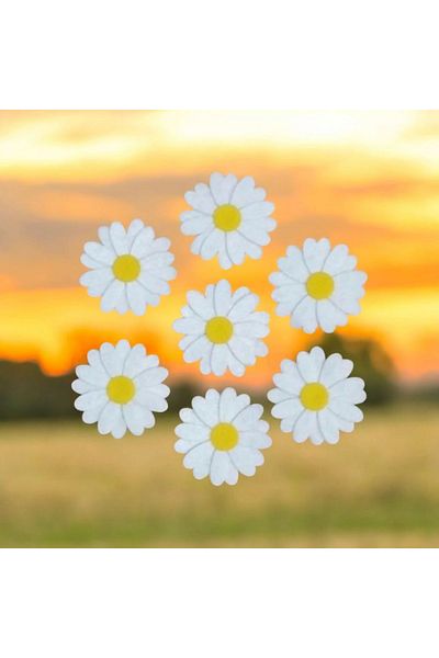 ÖZKARDEŞLER BABY 10 Pieces Özkardeşler Baby Felt Daisy