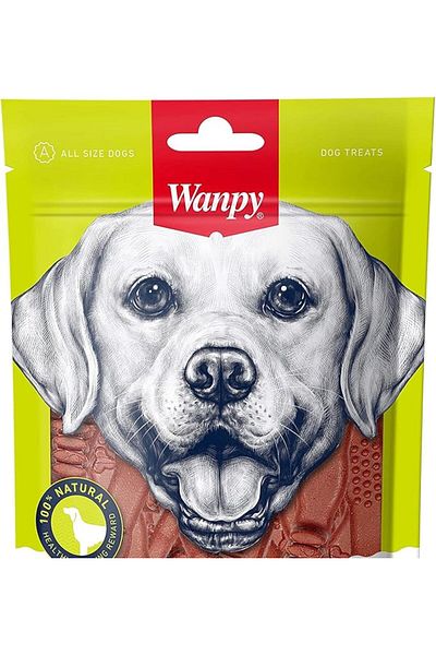 ShopZum Wanpy Dental 100g Dog Treat