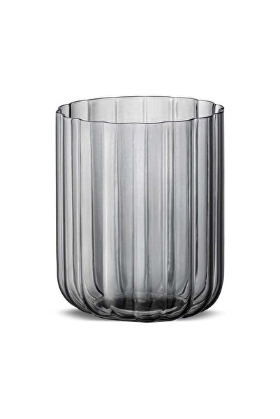 Jumbo Foggy Grey 6'lı Su Bardağı