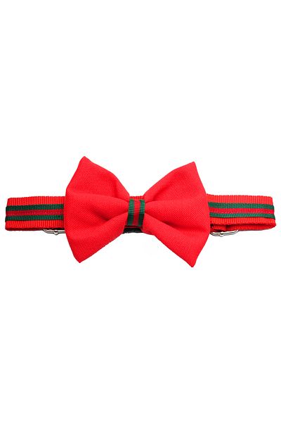 MBS Pet Stylist Mbs Adjustable Cat Dog Bow Tie Size L