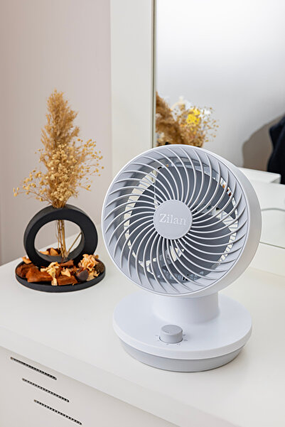 Zilan Ανεμιστήρας γραφείου ZLN1009, 3 βαθμίδες ταχύτητας, Ταλαντούμενος, Ισχύ...
