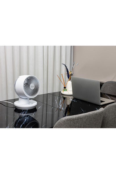 Zilan Desk fan ZLN1009, 3 speed steps, Oscillating, Power 45W