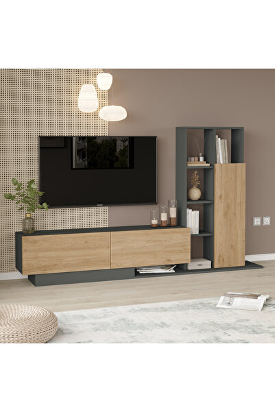 Yurudesign Blaze Tv Ünitesi Kapaklı Kitaplık Raf Sepet-Antrasit BE1-SA