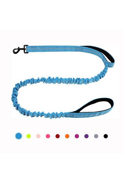 Choice Blue Bungee Dog Leash, Heavy Duty Dog Leash with Shock Absorption, 2 Padded Handles Training Leash,