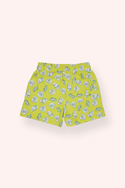 Panço Erkek Çocuk Deniz Kabuğu Desenli Sarı Deniz Şortu
