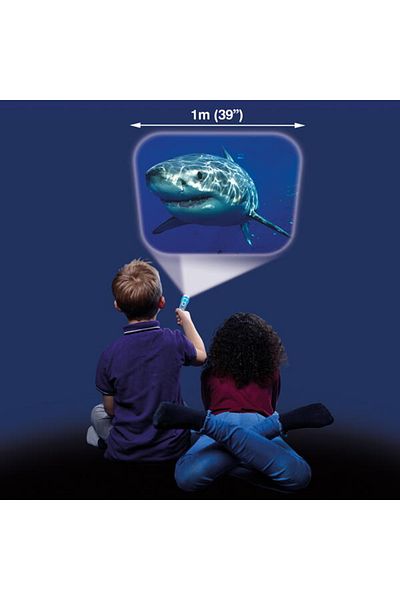 Brainstorm Flashlight projector - Dangerous sharks