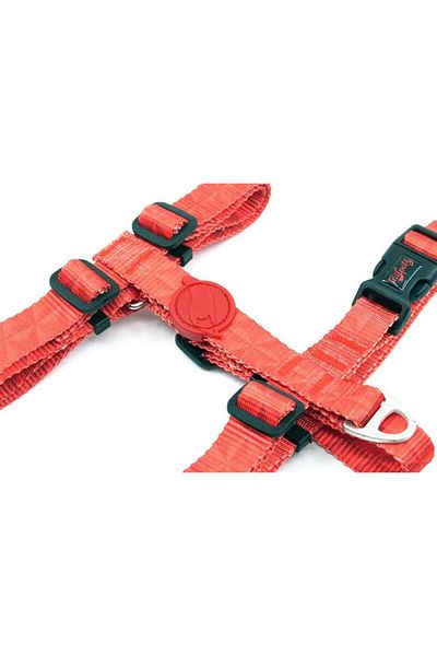 Tailpetz Prism S H-Type Dog Chest Collar