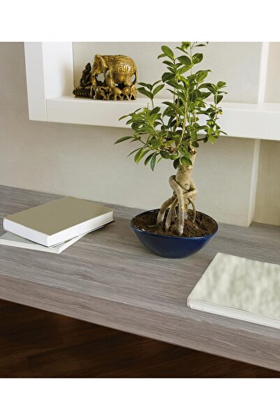 d-c-fix 176-0587 Kendinden Yapışkanlı Ahşap Desen Folyo ( 45 Cm X 1 Mt )