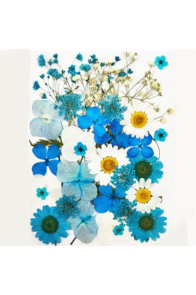 Generic Resin art dry compressed plant flower G-284