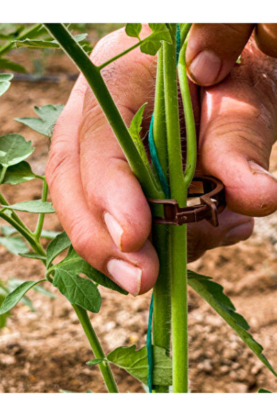 UĞURBATIN BİTKİ KLİPSİ 23MM KAHVERENGİ 500 AD.