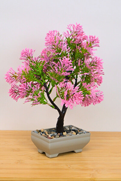 Digithome Dekoratif Saksılı Yapay Kasımpatı Ağacı Pembe 25cm EVA-5696 C1-1-423