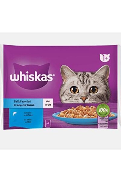 Whiskas Somonlu Ve Ton Balıklı Yetişkin Kedi Yaş Maması 4x85 gr (13 PAKET, 52 ADET TEKLİ)