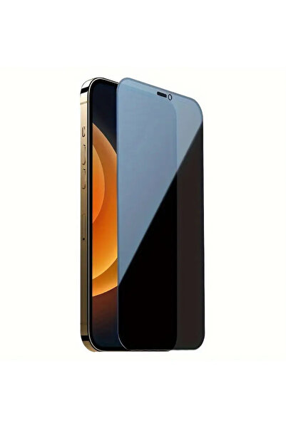ProNorth IPhone 16 PRO MAX Uyumlu Hayalet Ekran Koruyucu Tam Kapatan Gizli Te...