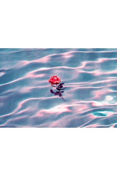 OEM Poster Love Underwater, 61x90cm, poster2948, Zumzeria ®