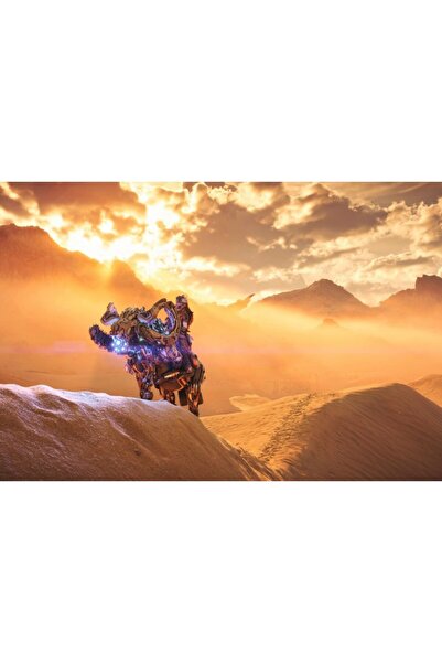 OEM Poster Aloy From Horizon Forbidden West, 61x90cm, poster2100, Zumzeria ®