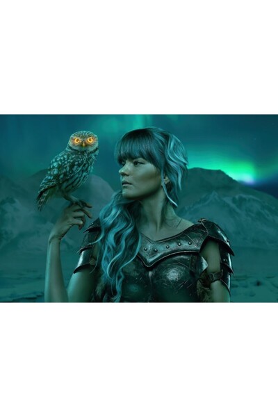 OEM Poster Owl Petter, 61x90cm, poster2854, Zumzeria ®