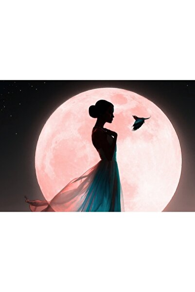 OEM Poster Above Moon, 61x90cm, poster787, Zumzeria ®