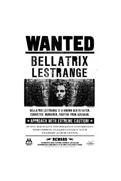 OEM Poster Harry Potter Bellatrix Lestrange Wanted, 61x90cm, Zumzeria ®