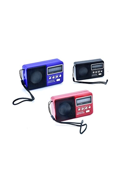 efmues Radyo Bluetooth FM-USB müzik çalar Everton RT-303BT