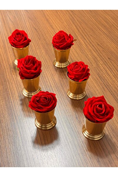 GLORİNDA HOME GOLD LÜLS 6'LI SUNUMLUK DEKARASYON-DEKORATİF GÜL KOVASI (GÜLLÜ)