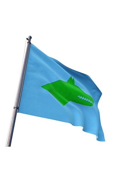 CMB SHOP CMB BAYRAK Göktürk Bayrağı Mavi-Yeşik Gönder Bayrağı 50cm x 75cm