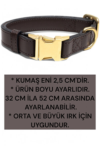 CARAMELOS HAKİKİ DERİ KÖPEK BOYUN TASMASI, KİŞİYE ÖZEL KÜNYELİ, ORTA IRK, BÜYÜK IRK, LUX SERİ
