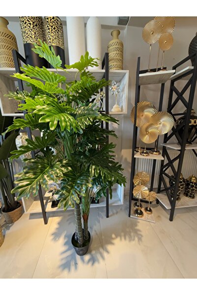 Larus Corydalis sinensis170cm