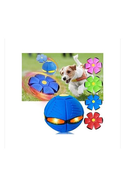 EFEGE HOME Frisbee Ball Lighted Bouncing Frisbee Ball for Pets Ball for Kids