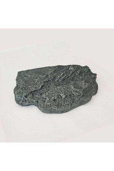 Chicos Polyester Turtle Platform 14.5 X 10 X 2.7 cm Zrnet
