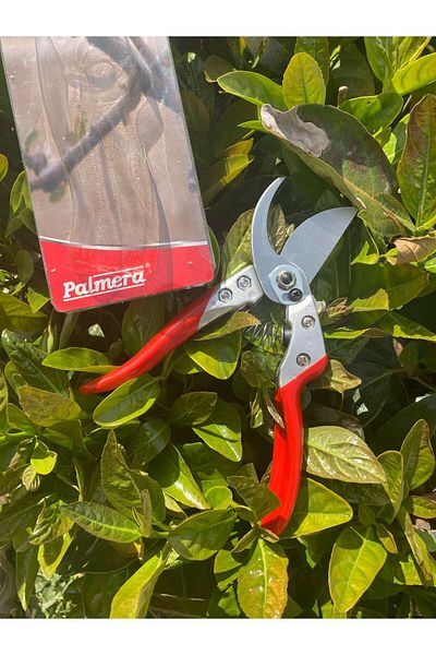 Palmera Pa-Ps20 Pruning Scissors
