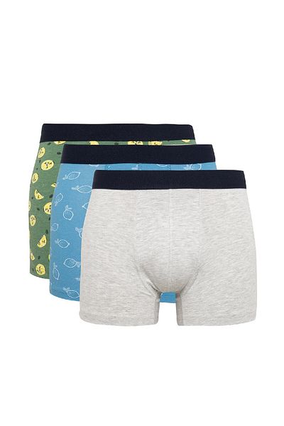 DeFacto Regular Fit 3-pack Boxer B7184AX24SM