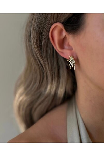 AYLAKAYA Çelik Küpe