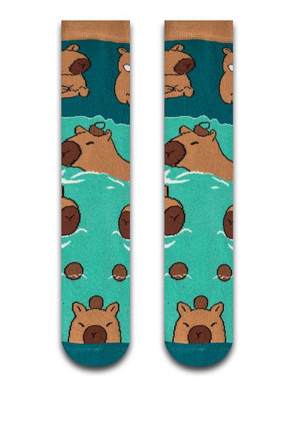 Neşeli Çoraplar Cute Capybara Colorful Men's Socks