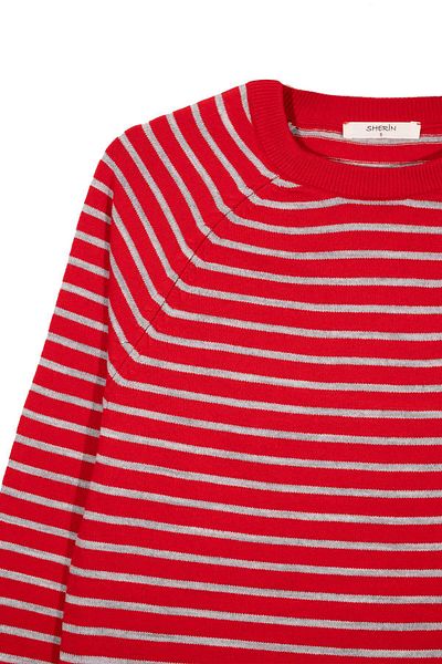 SHERIN Red Crew Neck Striped Blouse
