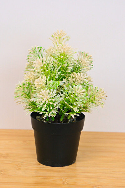 Digithome Dekoratif Saksılı Yapay Kasımpatı Çiçeği Beyaz 22cm EVA-5821 C1-1-423