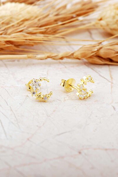 Sümer Telkari Taşlı Ay Yıldız Altın Kaplama Mini Gümüş Küpe 7355