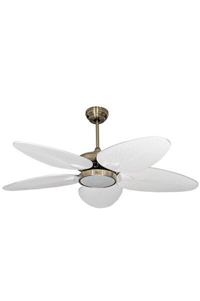 LAST TOUCH INTERIORS Ventola Aydınlatmalı Tavan Vantilatörü