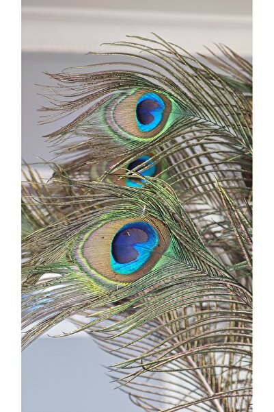 jujü Tavus Kuşu Tüyü, Dekoratif Ürün, Vazo Çiçeği ,1 Adettir, 60 Cm Uzunlukta.