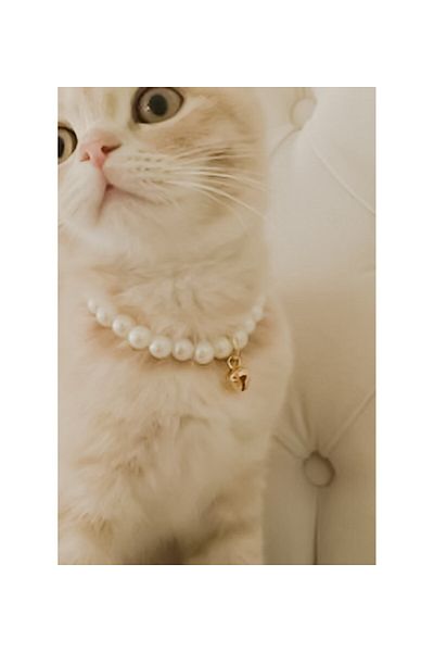 NitruDesign Pearl Cat Necklace - Collar (with Bell)