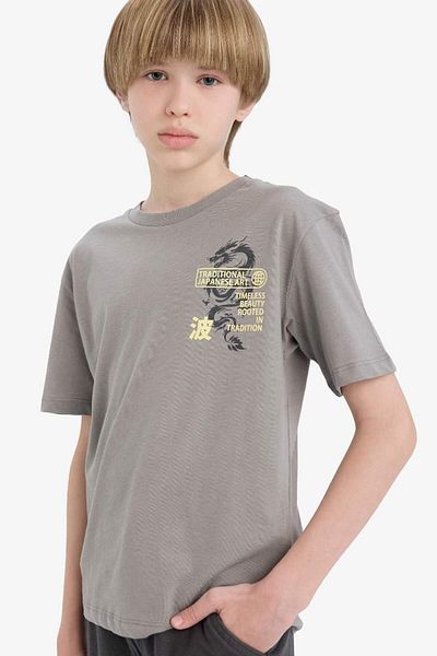 DeFacto Tricou cu mânecă scurtă cu imprimeu pentru băiat, sezon nou