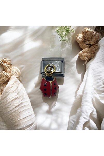 stainles steel Ladybug Detailed Italian Charm