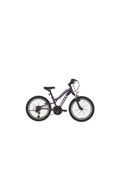 Bisan Gazelle Çocuk Bisikleti 30 Cm V 24 Jant 18 Vites Metalik Mor Açık Pembe
